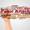 Understanding the Difference Between Anxiety and  Panic Disorder