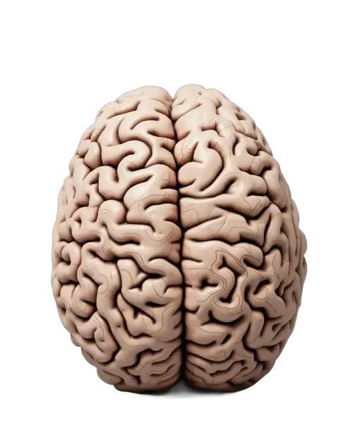 Manochikitsa-Understand-your-brain